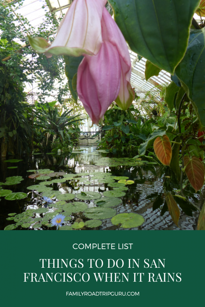 Things to Do in San Francisco When It Rains Family Road Trip Guru