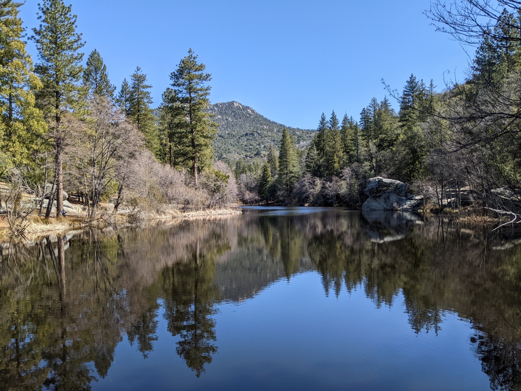 Things To Do In Idyllwild | Family Road Trip Guru: Kid-friendly Travel ...